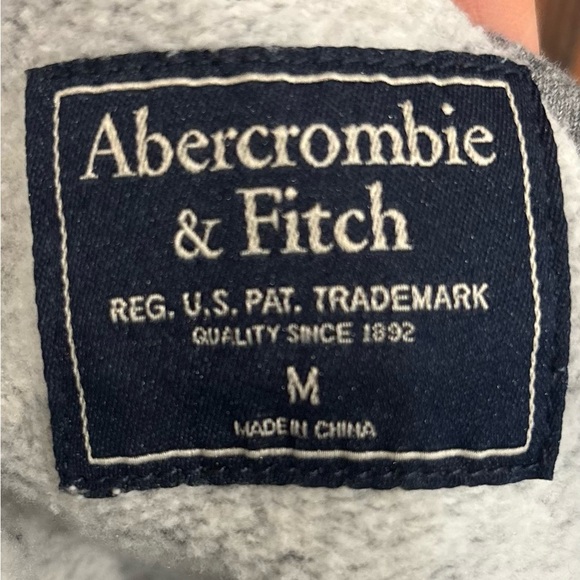 Abercrombie and Fitch Embroidered Logo Hooded Sweatshirt Soft Collection Sz M - Picture 5 of 6